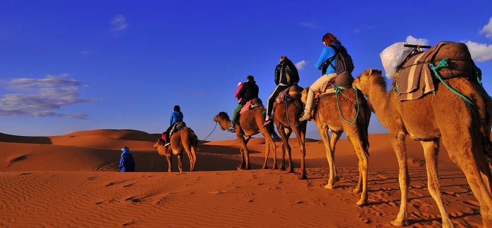 <span> Day 4</span>MERZOUGA – ERFOUD – TODRA GORGE – DADES VALLEY – OUARZAZATE