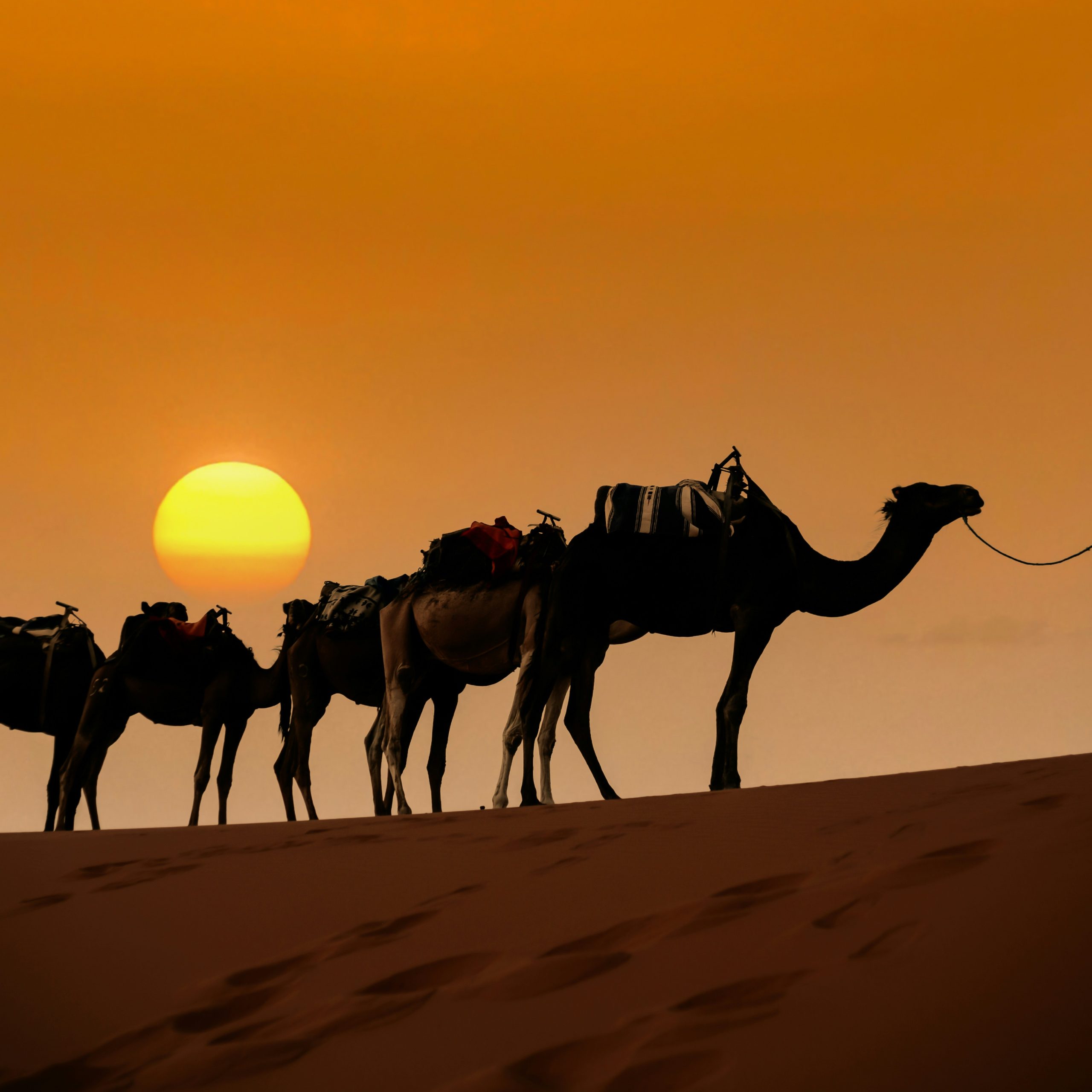 3-Days Sahara Désert Tour from Marrakech