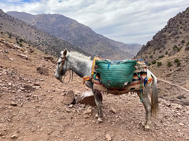 6 days Toubkal circuit